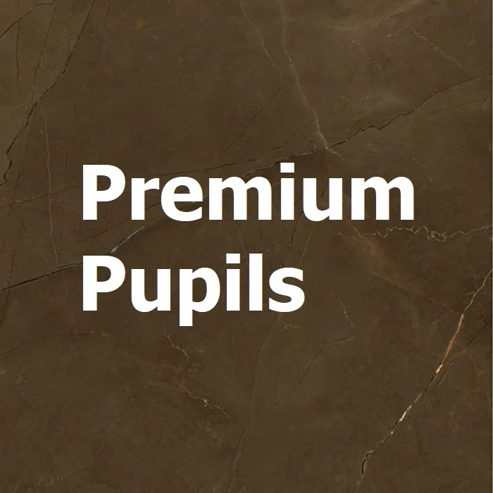 Плитка Zodiac Premium Pupils