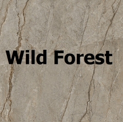Wild Forest