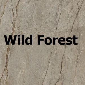 Wild Forest