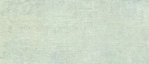 Плитка Naxos 105073 Herb 20x60,5 матовая