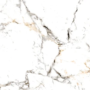 Керамогранит Peronda 20578 Tucci Gold/P 60x60 полированный