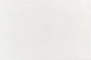 Плитка Jasba 3150H Paso Natural White 20x30 матовая