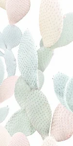 Керамогранит 41zero42 Paper41 Pro Marcela 4100712 50x100 матовый