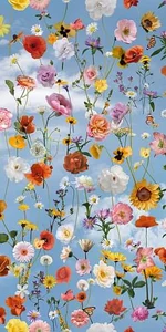 Керамогранит 41zero42 Paper41 Pro Mia 4100987 50x100 матовый