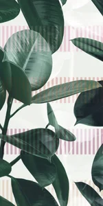Керамогранит 41zero42 Paper41 Pro Olivia 4100713 50x100 матовый