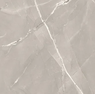 Armani Grey Silk
