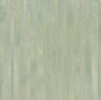 14oraitaliana Sticks Sage Nat. Rett. PF60016515