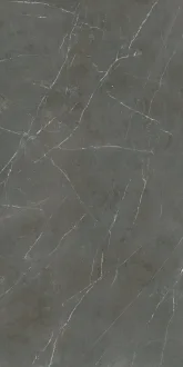 Pietra Grey 6mm Soft PF60006221
