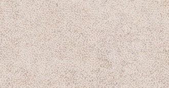 Poetry Stone Reloaded Curve Warm Nat PF60017566