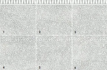 Декоративный элемент ABK Poetry Stone Carpet Paint 3 Nat PF60010210 120x120 матовый