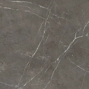 Керамогранит ABK Sensi 900 Stone Grey Lux Ret PF60006311 120x120 полированный