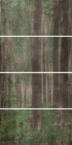 Панно ABK W&S Cp4 Woods A PF60001874 120x240 матовое