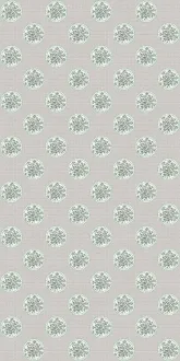 W&S Scordar Salvia PF60007372