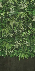 Керамогранит ABK W&S Secret Garden Wall PF60007550 120x278 матовый