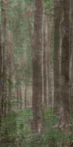 Декоративный элемент ABK Wide & Style Woods A PF60009507 120x280 матовый