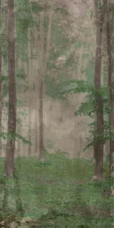 Wide & Style Woods B PF60009508