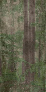 Декоративный элемент ABK Wide & Style Woods C PF60009509 120x280 матовый