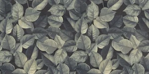 Декоративный элемент ABK Wide&Style Mini Foliage Ret PF60008438 60x120 матовый