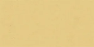 Плитка ABK Wide&Style Mini Ginger Ret PF60008231 60x120 матовая