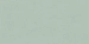 Плитка ABK Wide&Style Mini Mint Ret PF60008232 60x120 матовая