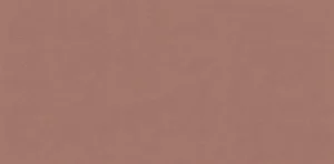 Плитка ABK Wide&Style Mini Paprika Ret 60x120 матовая