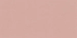 Плитка ABK Wide&Style Mini Phard Ret 60x120 матовая