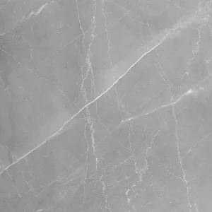 Керамогранит Absolut Gres Armani Gris Gloss AB 1106G 60x60 глянцевый