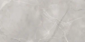 Керамогранит Absolut Gres Armani Gris Polished 60x120 полированный