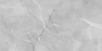 Керамогранит Absolut Gres Armani Silver AB 1142G 60x120 глянцевый