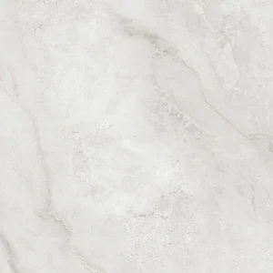 Керамогранит Absolut Gres Canoli AB1206G 60x60 глянцевый