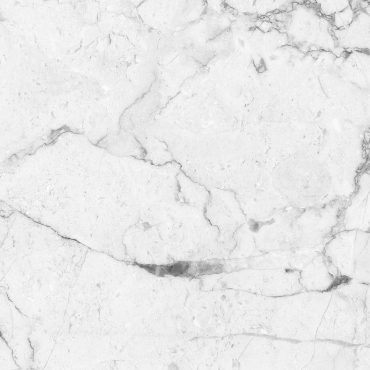 Керамогранит Absolut Gres Carrara White Matt AB 1077M 60x60 матовый