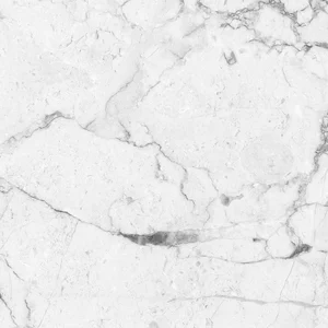 Керамогранит Absolut Gres Carrara White Matt AB 1077M 60x60 матовый