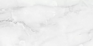 Керамогранит Absolut Gres Onix Snow Grey AB 1182G 60x120 глянцевый