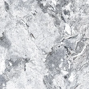 Керамогранит Absolut Gres Ordito Grey AB 1111G 60x60 глянцевый