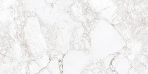 Керамогранит Absolut Gres Rossalia Natural AB 1171G 60x120 глянцевый