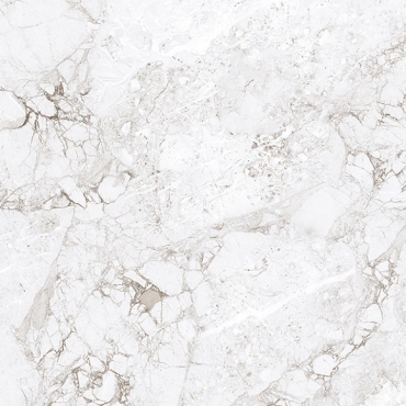 Керамогранит Absolut Gres Rossalia Natural AB1208G 60x60 глянцевый