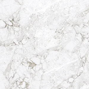 Керамогранит Absolut Gres Rossalia Natural AB1208G 60x60 глянцевый