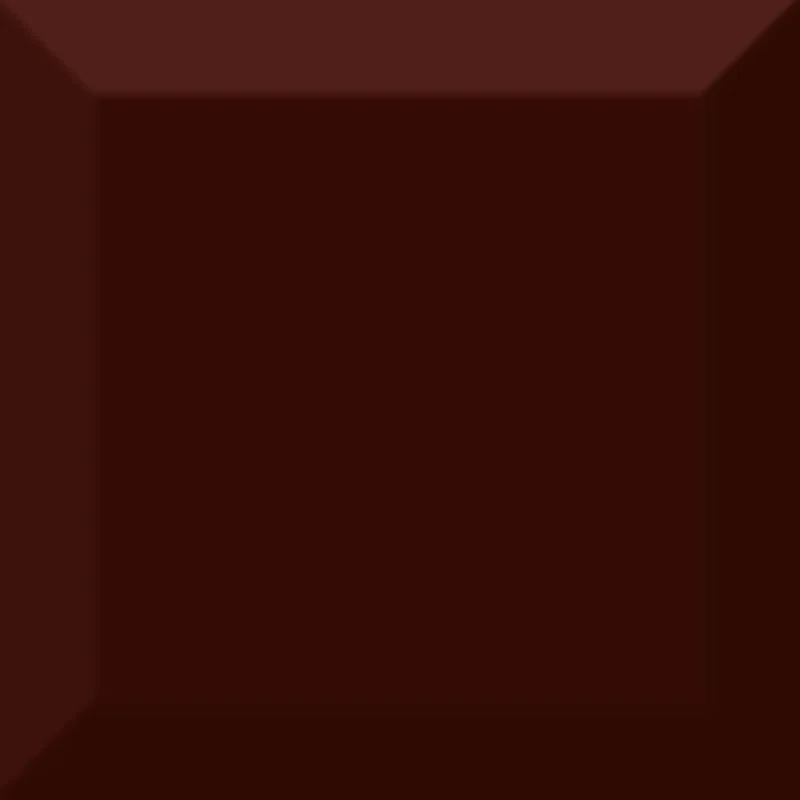 Плитка Absolut Keramika Monocolor Marron Biselado Brillo 10x10 глянцевая