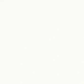Absolute White Lapp. Rett. 97041