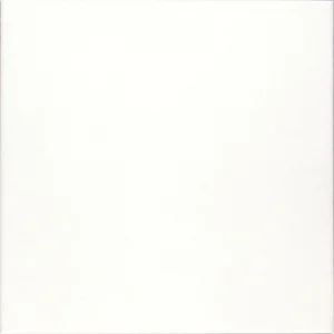 Плитка Adex ADPV9022 Pavimento Square White 18,5x18,5 матовая