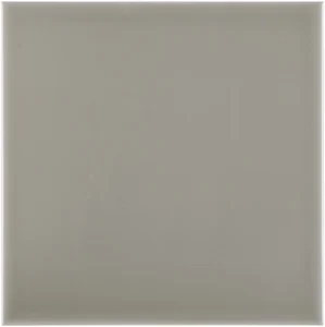 Плитка Adex ADRI1008 Liso Mundaka Gray 20x20 глянцевая