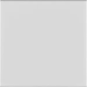 Плитка Adex ADRI1022 Liso Lido White 10x10 глянцевая