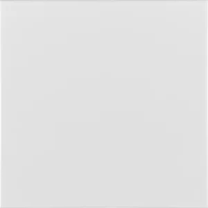 Плитка Adex ADRI1023 Liso Lido White 20x20 глянцевая