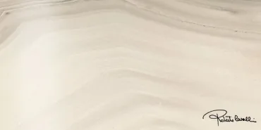 Декоративный элемент Roberto Cavalli Agata Bianco Firma Lapp. 558904 50x100 лаппатированный