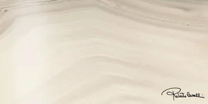 Декоративный элемент Roberto Cavalli Agata Bianco Firma Lapp. 558904 50x100 лаппатированный