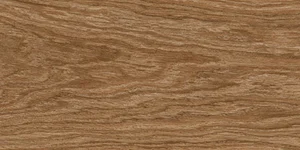 Керамогранит Alfalux Biowood Rovere Ret. 7948225 45x90 матовый