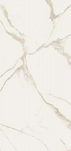 Керамогранит Alfalux Canova Pro Arni B Lucido Ret T800765 120x260 полированный