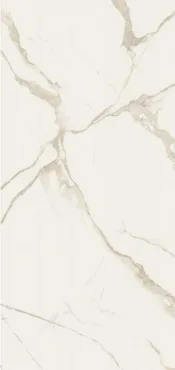 Керамогранит Alfalux Canova Pro Arni B Matt Ret T800925 120x260 матовый