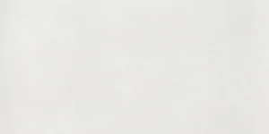 Керамогранит Alfalux Ethos Bianco Nat. 7272305 30x60 матовый