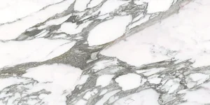 Керамогранит Alfalux Marvilla Pro Borromini Lucido Rett T203038 45x90 полированный
